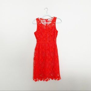 Sugarlips orange lace dress small